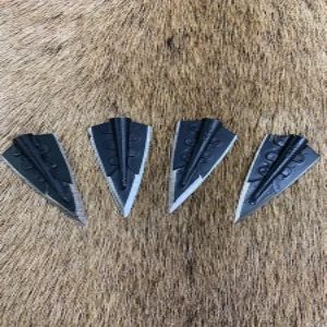 Ace Standards 6 Pack