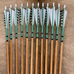 ARROWS A1002