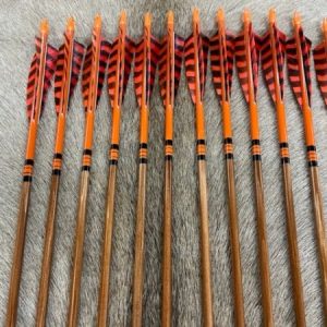 ARROWS A2001