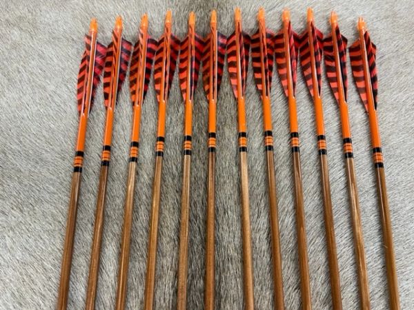 ARROWS A2001