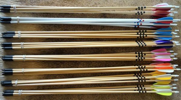 ARROWS FOR LIL RAPIDS YOUTH BOW 1/2 DOZEN 24"