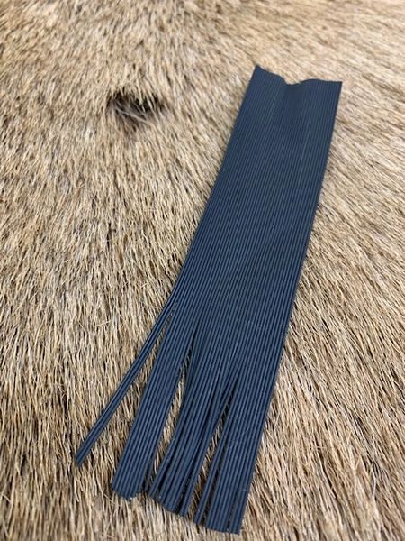 cat whiskers